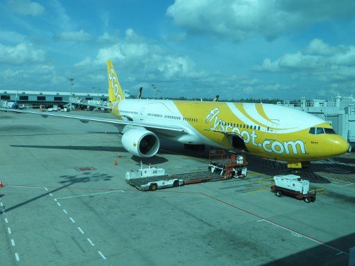 Scoot™ Airlines, Boeing 777–200 am Gate F31 in Singapore