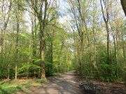 Berlin, Deutschland, Frühlingswetter, Volkspark Jungfernheide, Rad und Fußweg Ende April