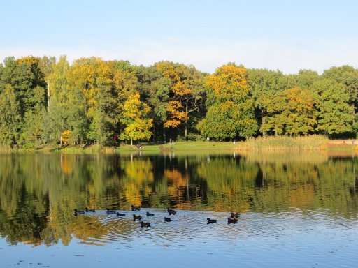 Berlin, Deutschland, Volkspark Jungfernheide, See mit Enten im Oktober 2013