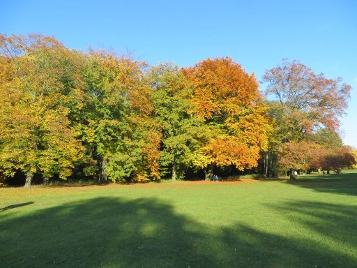 Berlin, Deutschland, Herbstwetter, Volkspark Jungfernheide, Grünfläche im Oktober 2013