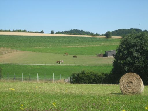 Hahn, Rheinland Pfalz, Deutschland, Wandern zwischen Lautzenhausen und Sohren