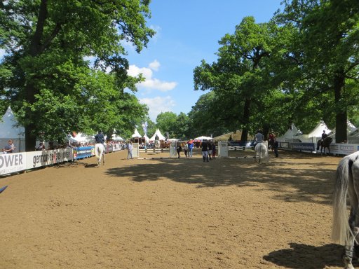 Hamburg, Deutschland, Deutsches Spring– und Dressur– Derby 2014, Abreitplatz