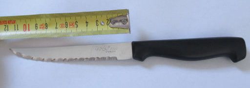 Sicherheit – Kriminalität, Hannover, Deutschland, Küchenmesser mit 12 cm Klinge