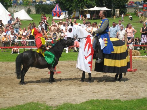 Ritterspiele Schloss Oelber, Baddeckenstedt, Deutschland, Hofnarr und Ritter