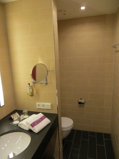 AMERON® Hotel Regent, Köln, Deutschland, Bad mit Waschtisch, Kosmetikspiegel und WC