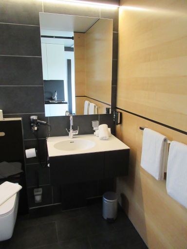 DO Hotel by WMM Hotels, Dornstadt, Deutschland, Bad mit Waschtisch und Haartrockner