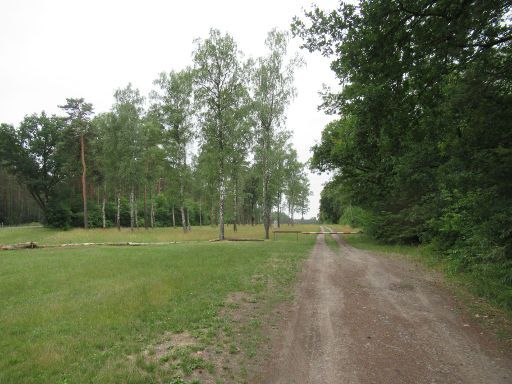 Gedenkstätte Bergen-Belsen, Lagergelände, Lohheide, Deutschland, Lagerhaupteingang