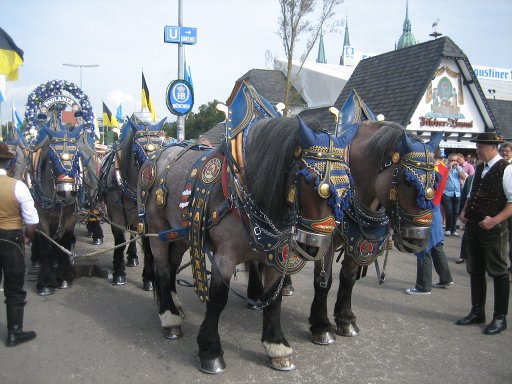 München, Deutschland, Oktoberfest 2011, Paulaner Pferdegespann mit Bierwagen