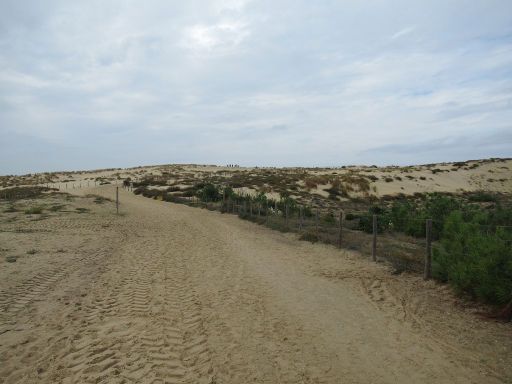 ehemalige Heeresküstenbatterie, Cap Ferret, Frankreich, Weg vom Parkplatz über die Düne