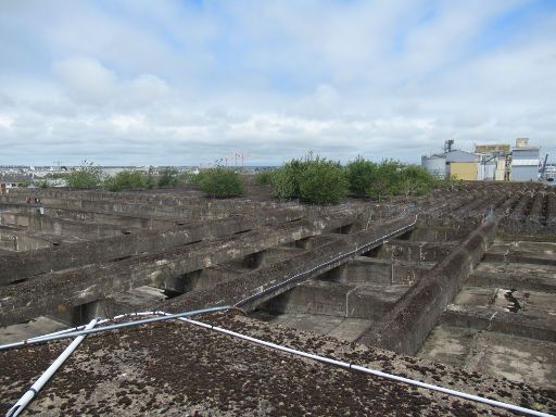 U-Boot-Bunker, Saint Nazaire, Frankreich, Dach vom U-Boot Bunker mit angepflanzten Bäumen