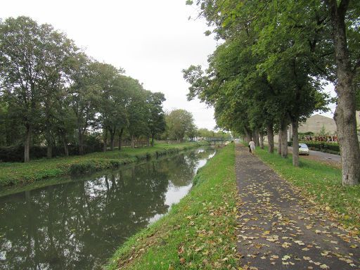 Vierzon, Frankreich, Canal de Berry, Baumallee am Kanal