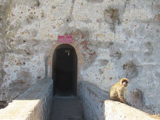 The Moorish Castle, Gibraltar, Eingang zur Burg