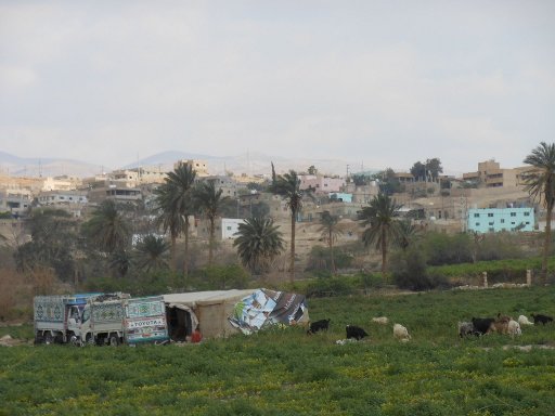 Rundreise Mietwagen, Jordanien, Landwirtschaft