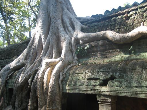 Siem Reap, Kambodscha, Ta Prohm