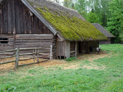 Das Freilichtmuseum Litauen, Rumsiskes, Litauen, Stall mit Ziegen