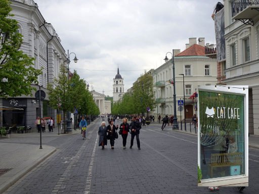 Vilnius, Litauen, Cat Café Gedimino pr 5