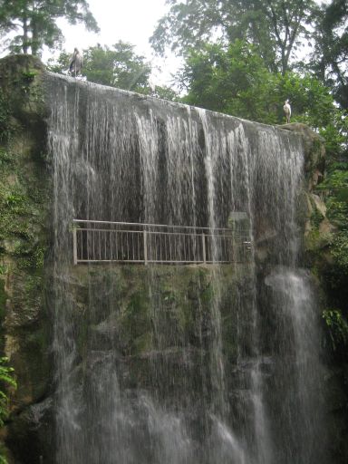 KL Bird Park, Kuala Lumpur, Malaysia, Wasserfall