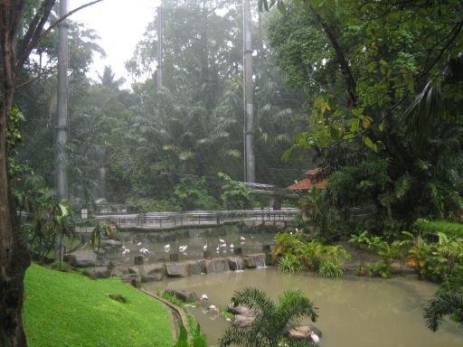 KL Bird Park, Kuala Lumpur, Malaysia, Ausblick vom Wasserfall in das riesige Gehege