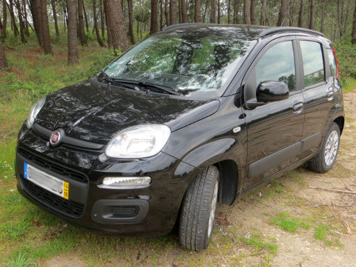 Fiat Panda, ZFA 312, 1.2 Liter Benziner, Ansicht von vorne / Seite