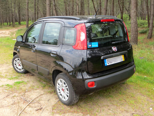 Fiat Panda, ZFA 312, 1.2 Liter Benziner, Ansicht von hinten / Seite