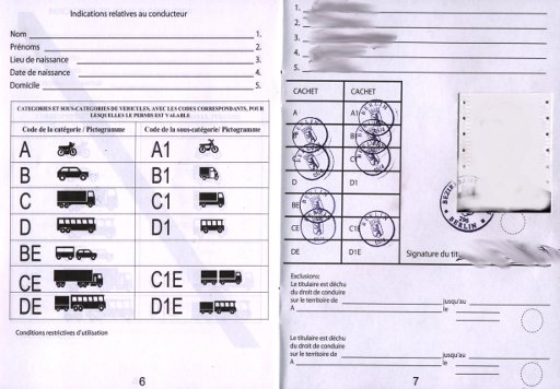 Bundesrepublik Deutschland, Internationaler Kraftfahrzeugverkehr, Internationaler Führerschein