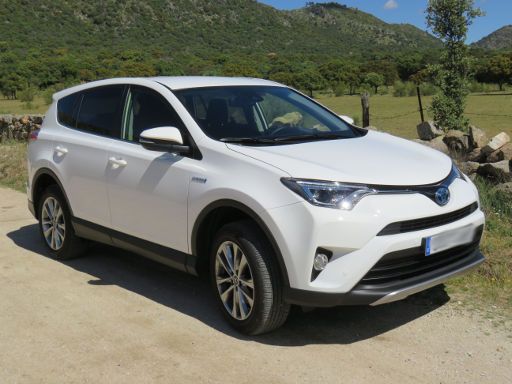 Toyota RAV4 Hybrid 2,5 l 114 kW, Ansicht von der Seite / vorne