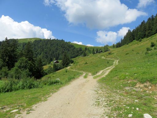 Faistenau, Österreich, Wanderung Lanznhütte, Wanderweg