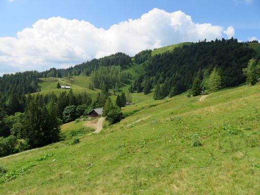 Faistenau, Österreich, Wanderung Lanznhütte, Landschaft mit Wiesen und Wäldern