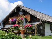 Faistenau, Österreich, Wanderung Lanznhütte, Lanznhütte