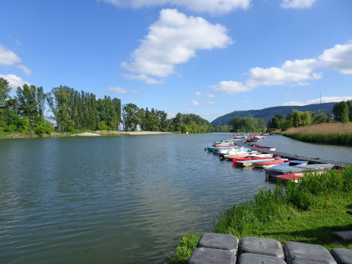 Klosterneuburg, Austria Swim Open 2019, Österreich, Bootsteg