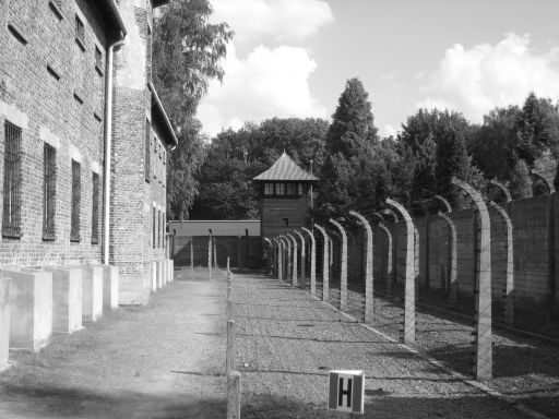 Wachanlagen Konzentrationslager, Auschwitz Birkenau, Oświeçim, Polen