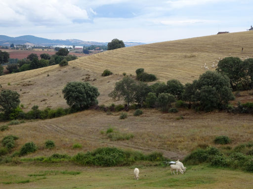 Bragança, Portugal, Landschaft in der Nähe vom Ort