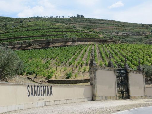 Mietwagentour Douro Peso da Régua – Pinhão, Porto, Portugal, Weinberge von Sandeman