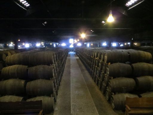 Real Companhia Velha, Porto, Portugal, Lager mit Weinfässer
