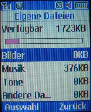 Samsung, Mobiltelefon, E1310B, nur 3 MB dynamischer Speicher