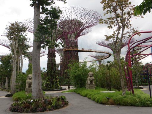 Gardens by the Bay, Singapore, Supertree Grove