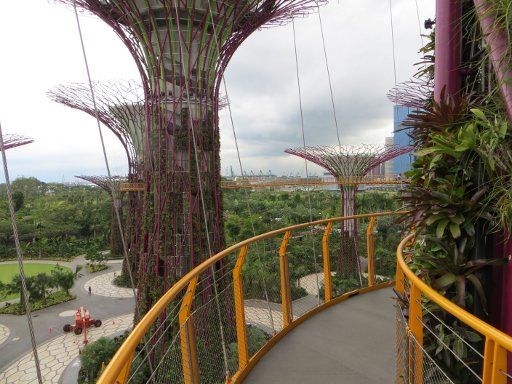 Gardens by the Bay, Singapore, OCBC Skyway