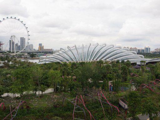 Gardens by the Bay, Singapore, Flower Dome im Hintergrund der Singapore Flyer