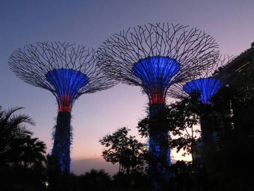 Gardens by the Bay, Singapore, beleuchtete Bäume am Abend