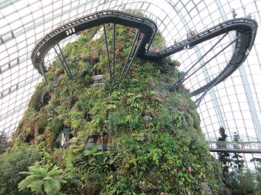 Gardens by the Bay, Flower Dome und Cloud Forest, Singapore, Cloud Walk Ansicht von unten