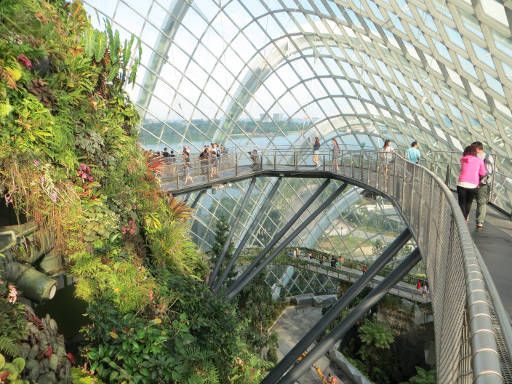 Gardens by the Bay, Flower Dome und Cloud Forest, Singapore, Cloud Walk