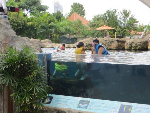 Resorts World™ Adventure Cove Waterpark™, Singapore, Rainbow Reef