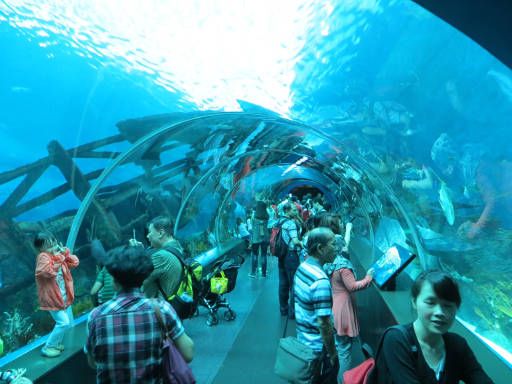 Resorts World™ S.E.A Aquarium™, Singapore, Glastunnel