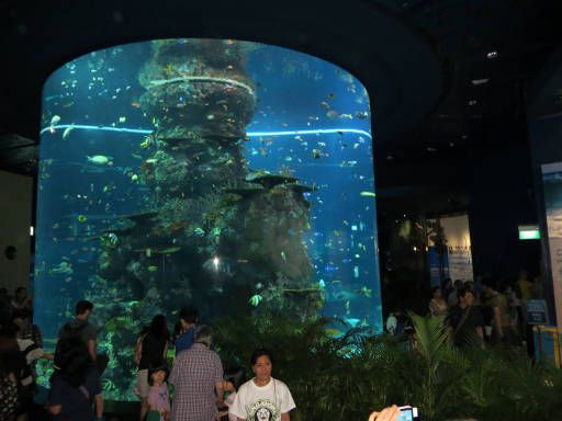 Resorts World™ S.E.A Aquarium™, Singapore, Rundes Aquarium