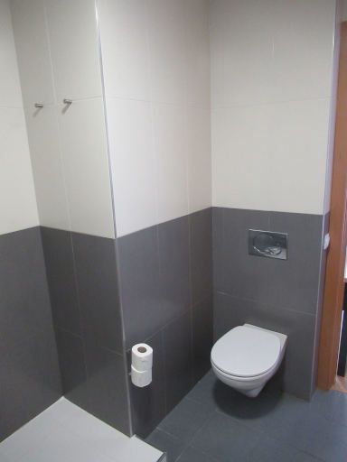 B&B Hotel Miranda de Ebro, Miranda de Ebro, Spanien, Bad mit WC