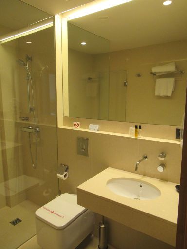 Hotel Araba, Vitoria-Gasteiz, Spanien, Bad mit Dusche, WC und Waschtisch
