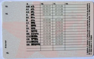 DGT Jefatura de Tráfico, Permiso de conducción Reino de España / Fahrerlaubnis Königreich Spanien Rückseite