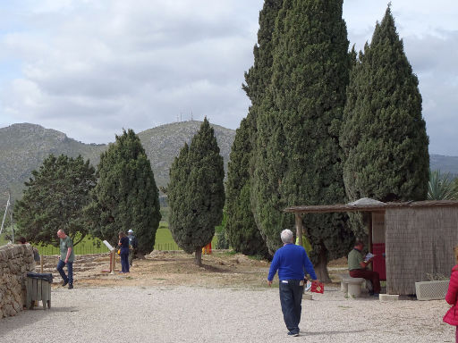 Alcúdia, Mallorca, Spanien, Ausgrabungsstätte Pol Léntia