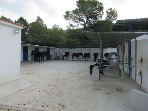 Centro Hípico Sierra Helada, El Albir, Spanien, Pferde bei den Stallungen