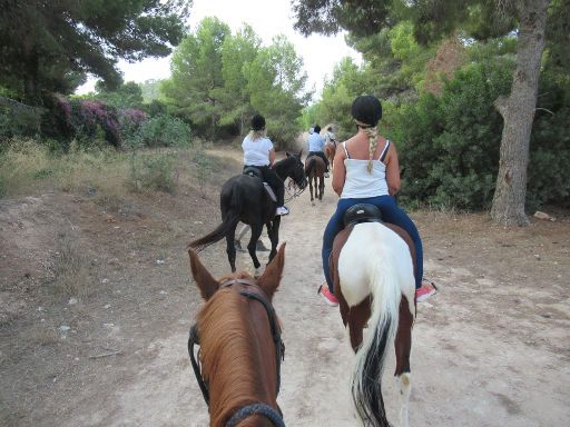 Centro Hípico Sierra Helada, El Albir, Spanien, Ausritt mit acht Pferden